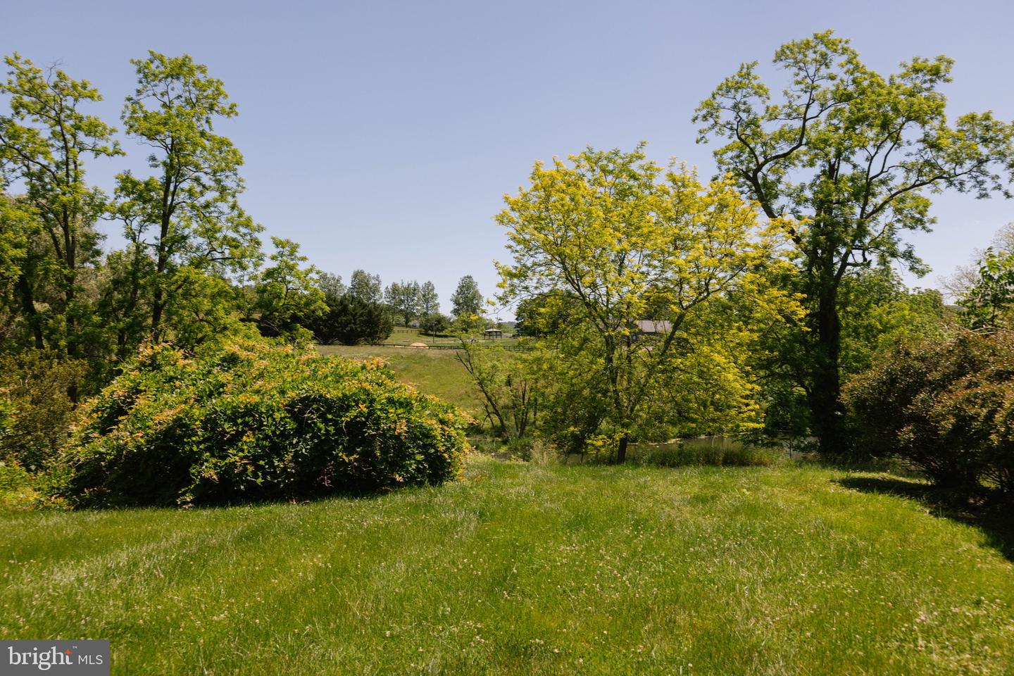 37961 Forest Mills Rd Property Photo 118