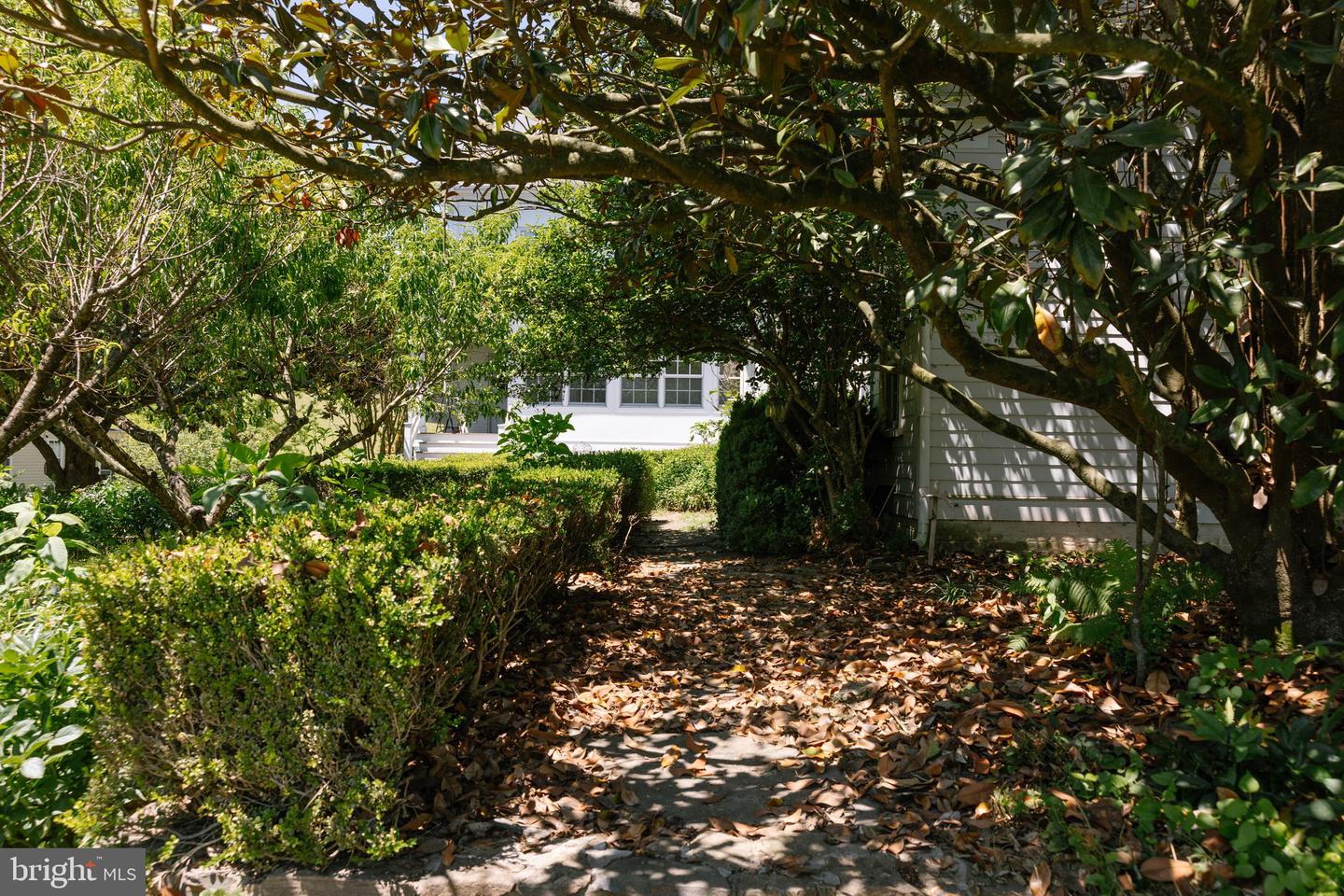 37961 Forest Mills Rd Property Photo 119