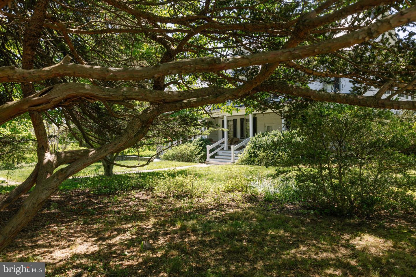 37961 Forest Mills Rd Property Photo 117