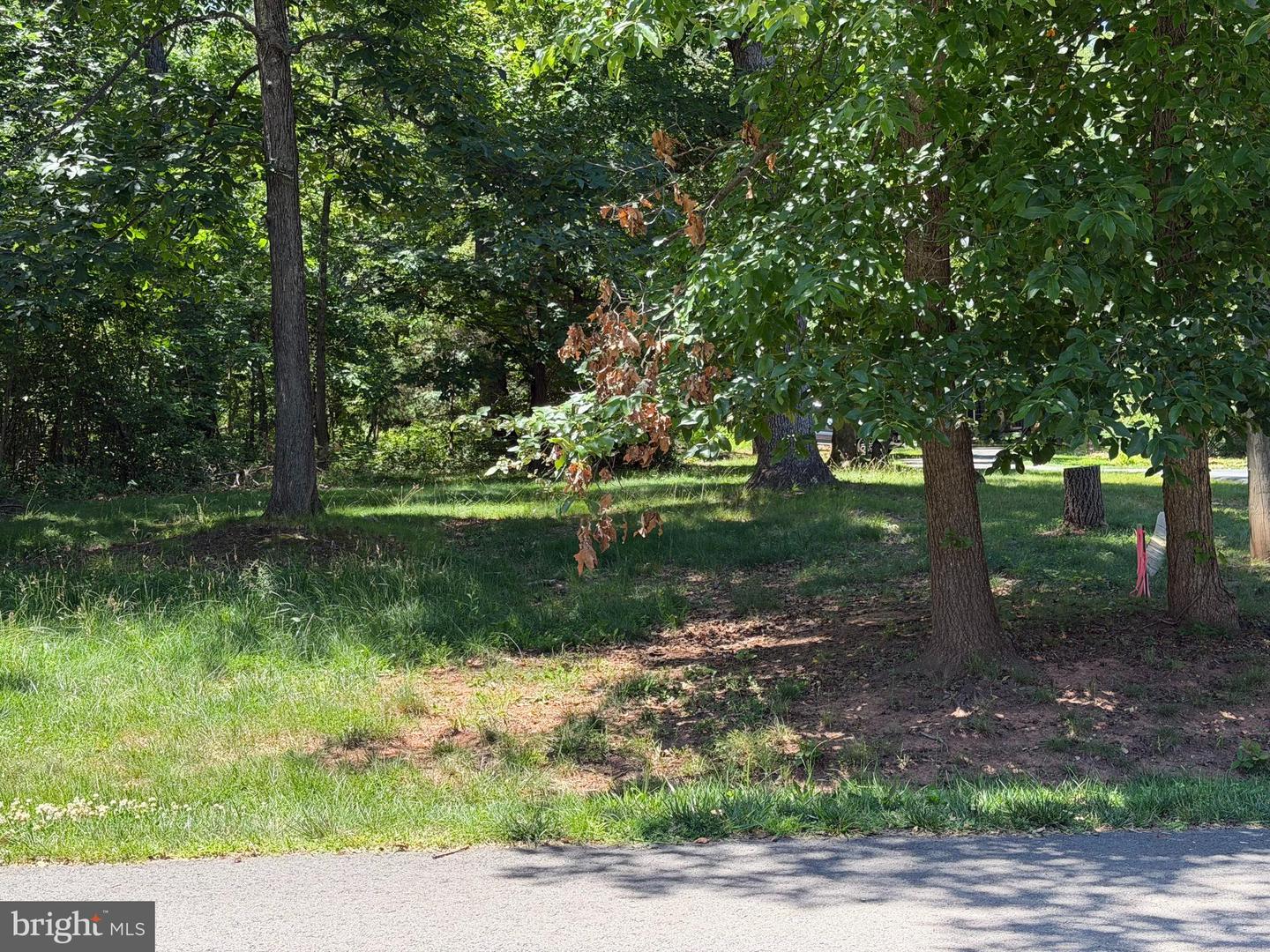 32 Cedar Dr Property Photo 5