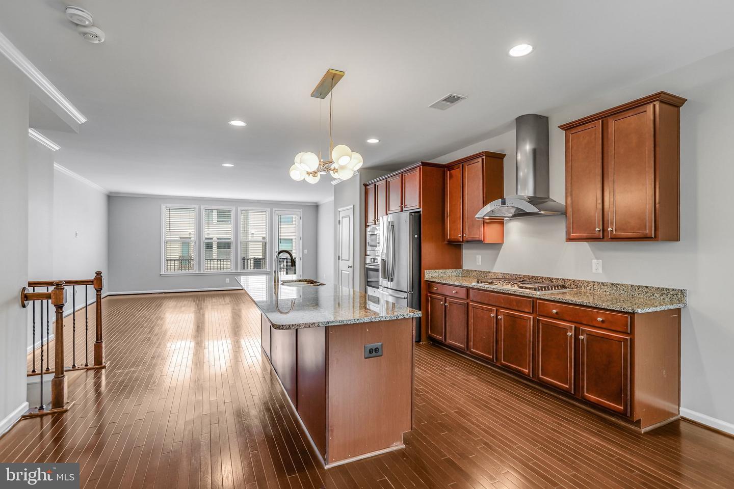 42274 Hampton Woods Ter Property Photo 13