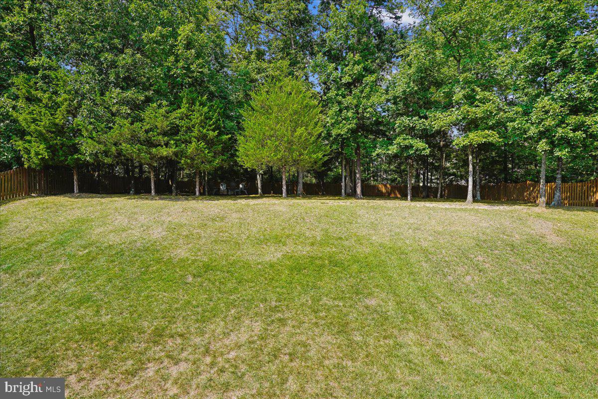 22487 Pine Top Ct Property Photo 77