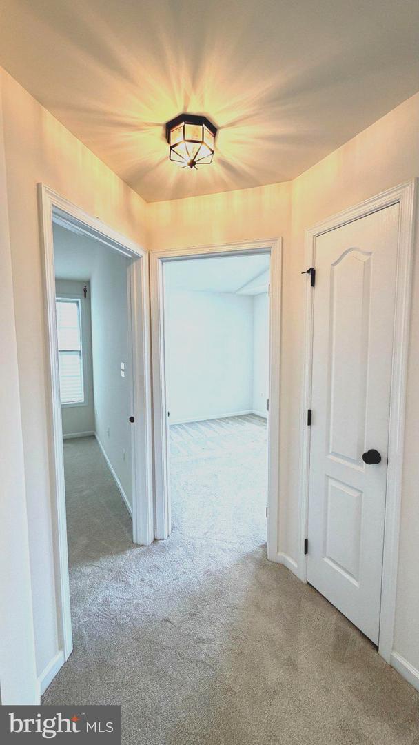 43196 Whelplehill Ter Property Photo 24