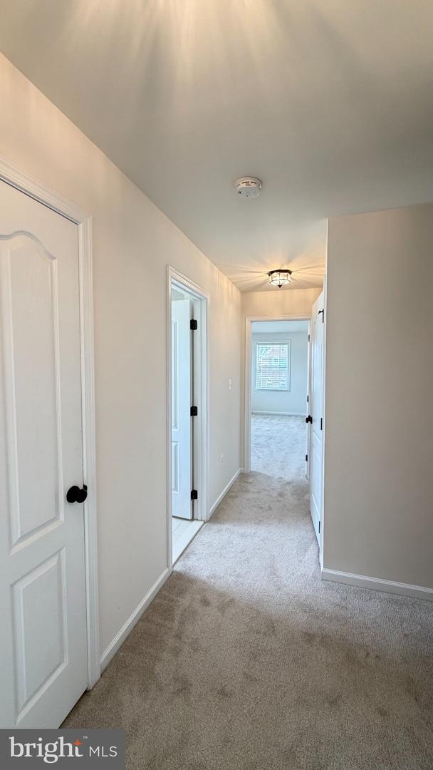 43196 Whelplehill Ter Property Photo 25