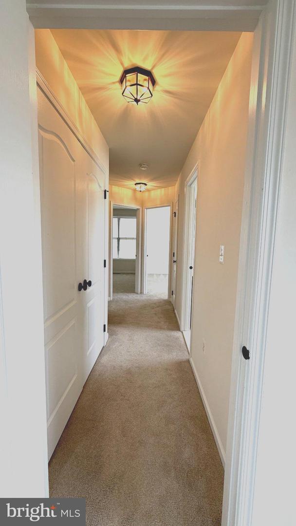 43196 Whelplehill Ter Property Photo 31