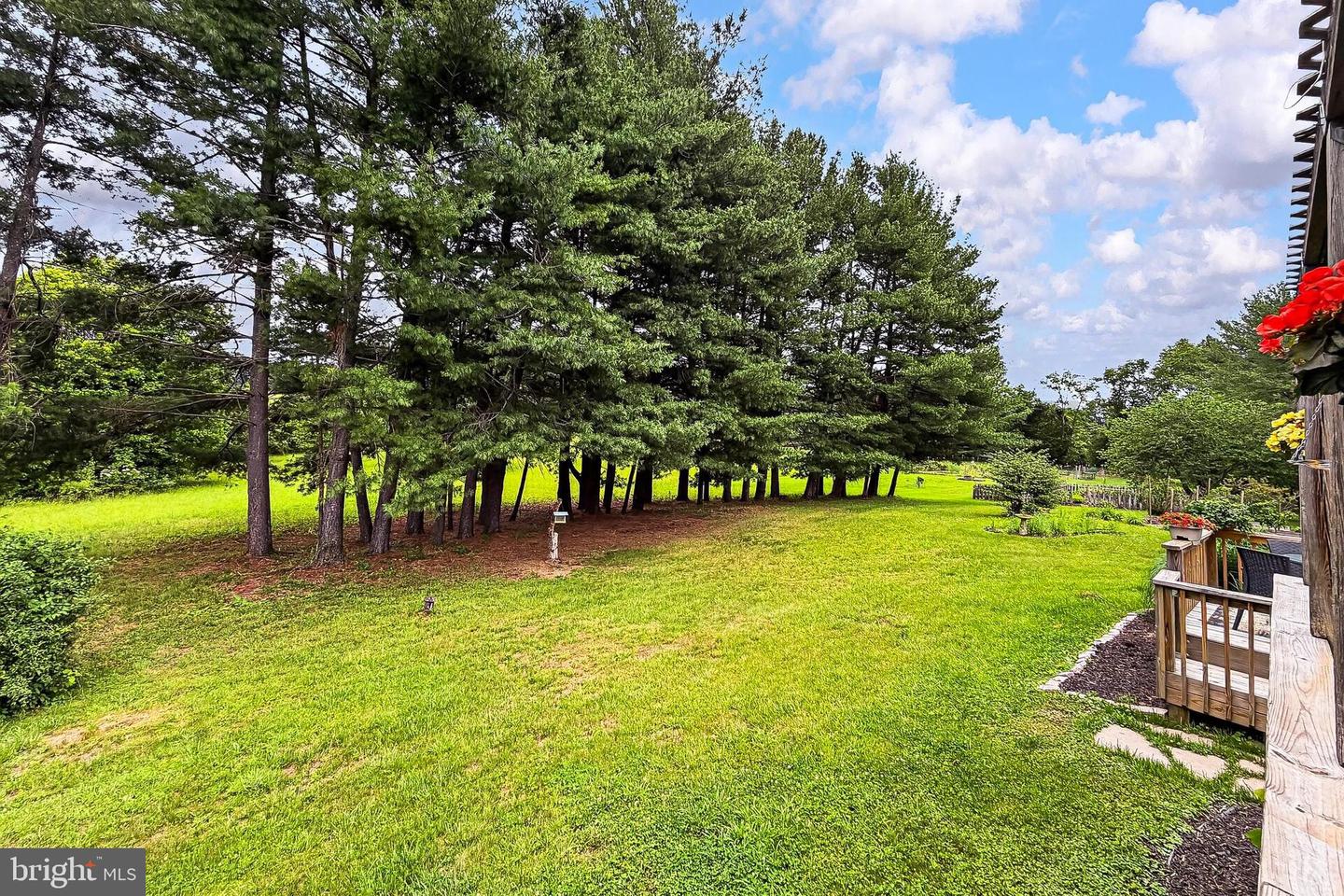 43910 Spinks Ferry Rd Property Photo 37