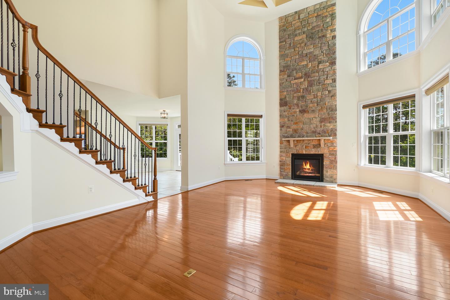 42115 Pleasant Forest Ct Property Photo 16