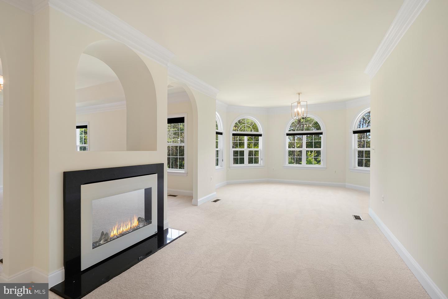 42115 Pleasant Forest Ct Property Photo 34