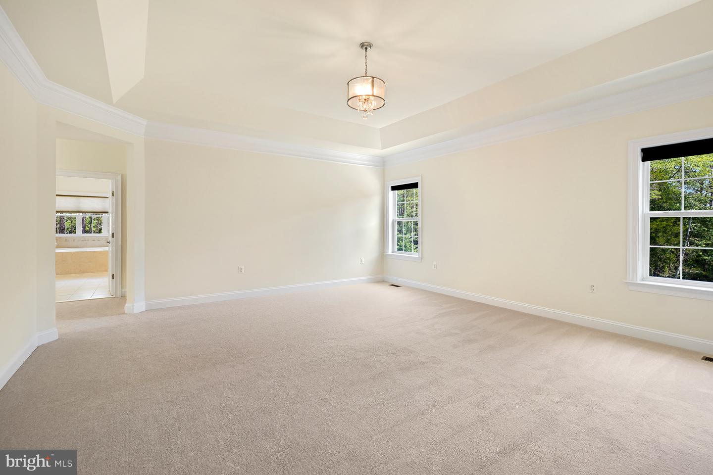 42115 Pleasant Forest Ct Property Photo 36