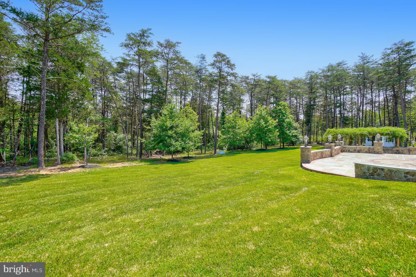 42115 Pleasant Forest Ct Property Photo 56