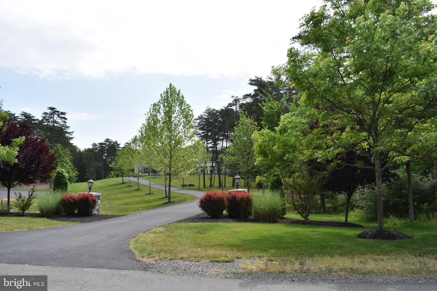 42115 Pleasant Forest Ct Property Photo 59