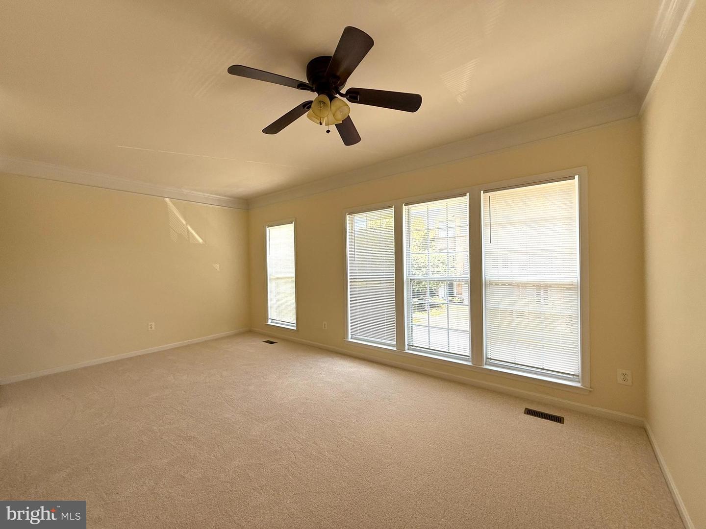 21929 Bayard Ter Property Photo 14