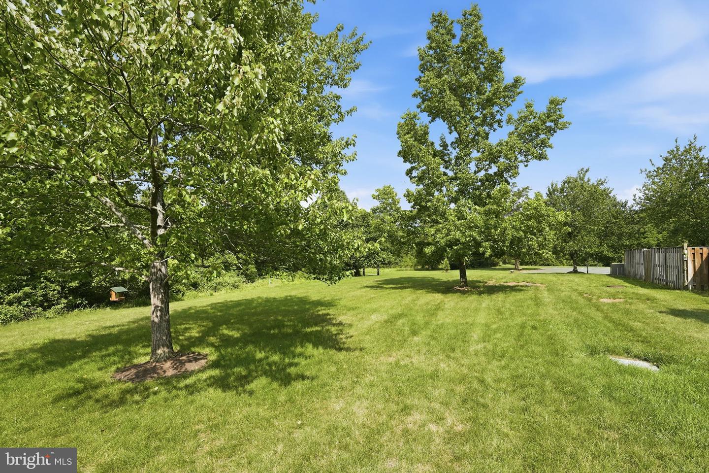 43571 Plantation Ter Property Photo 38