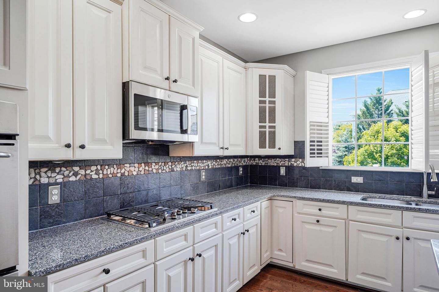 22247 Waterberry Ter Property Photo 9