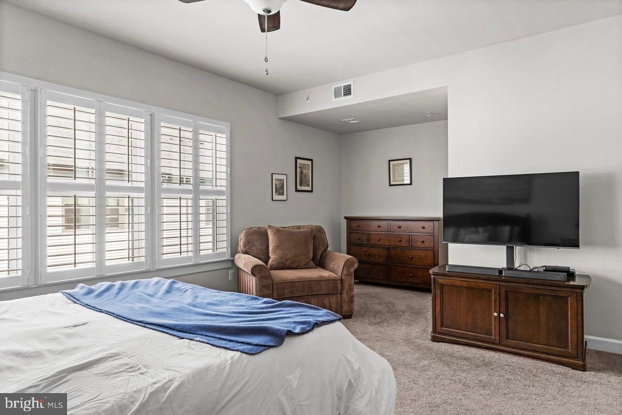 43386 Whitehead Ter Property Photo 22