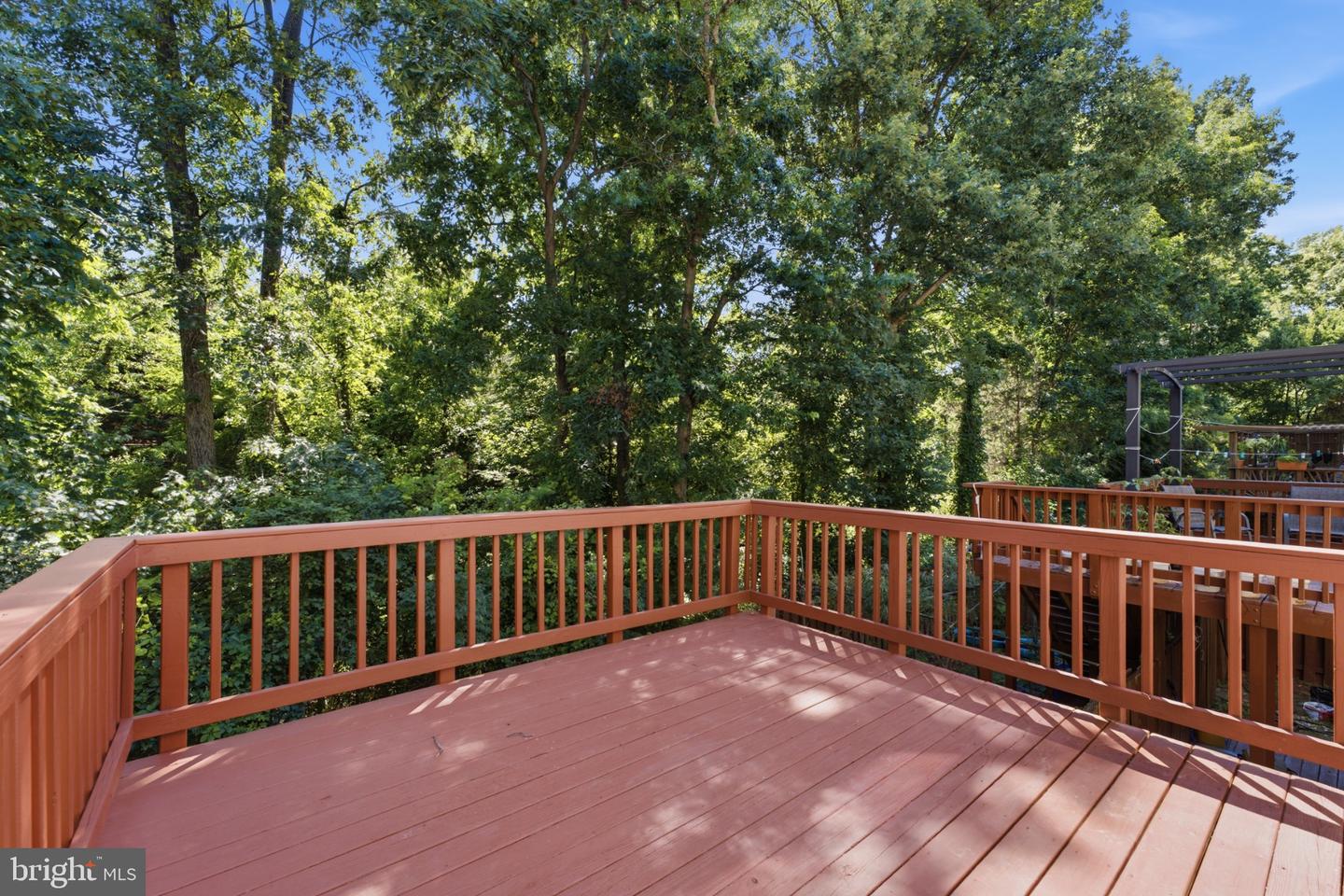46757 Hobblebush Ter Property Photo 12