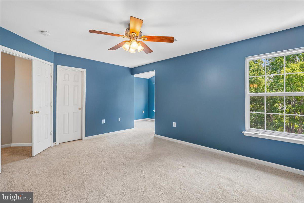 20364 Mount Pleasant Ter Property Photo 21