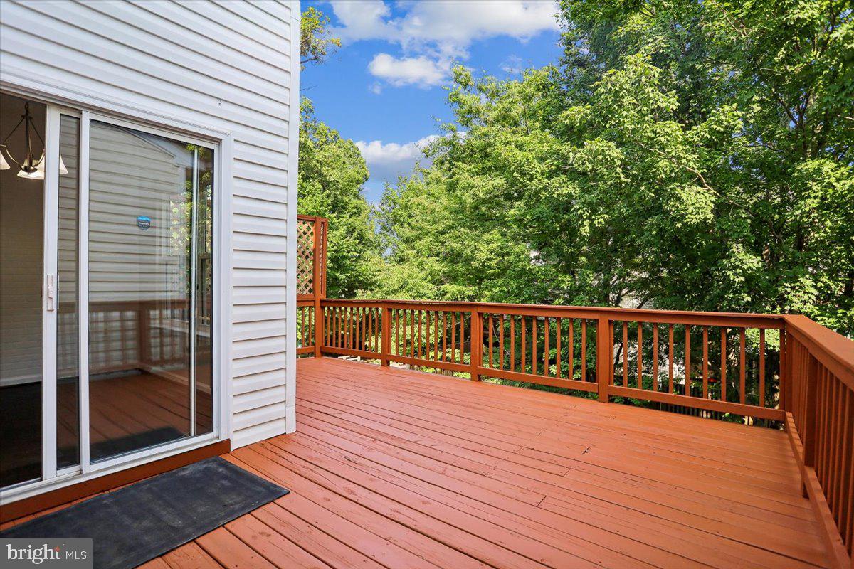 20364 Mount Pleasant Ter Property Photo 41