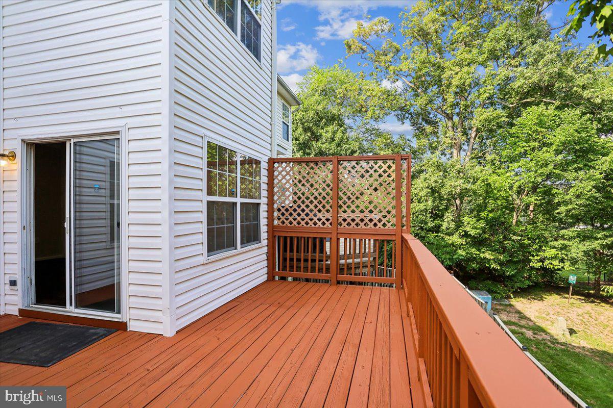 20364 Mount Pleasant Ter Property Photo 42