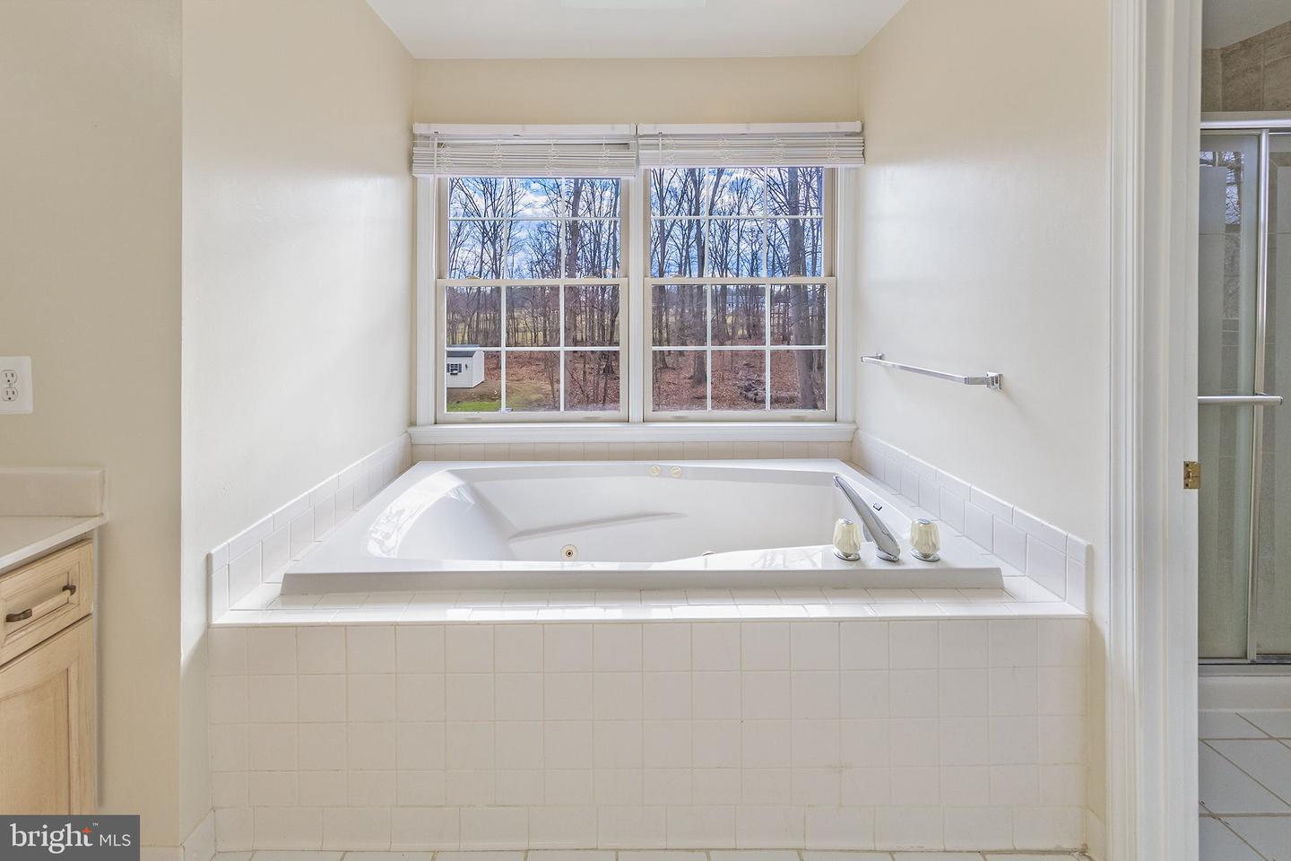 36767 Pelham Ct Property Photo 21