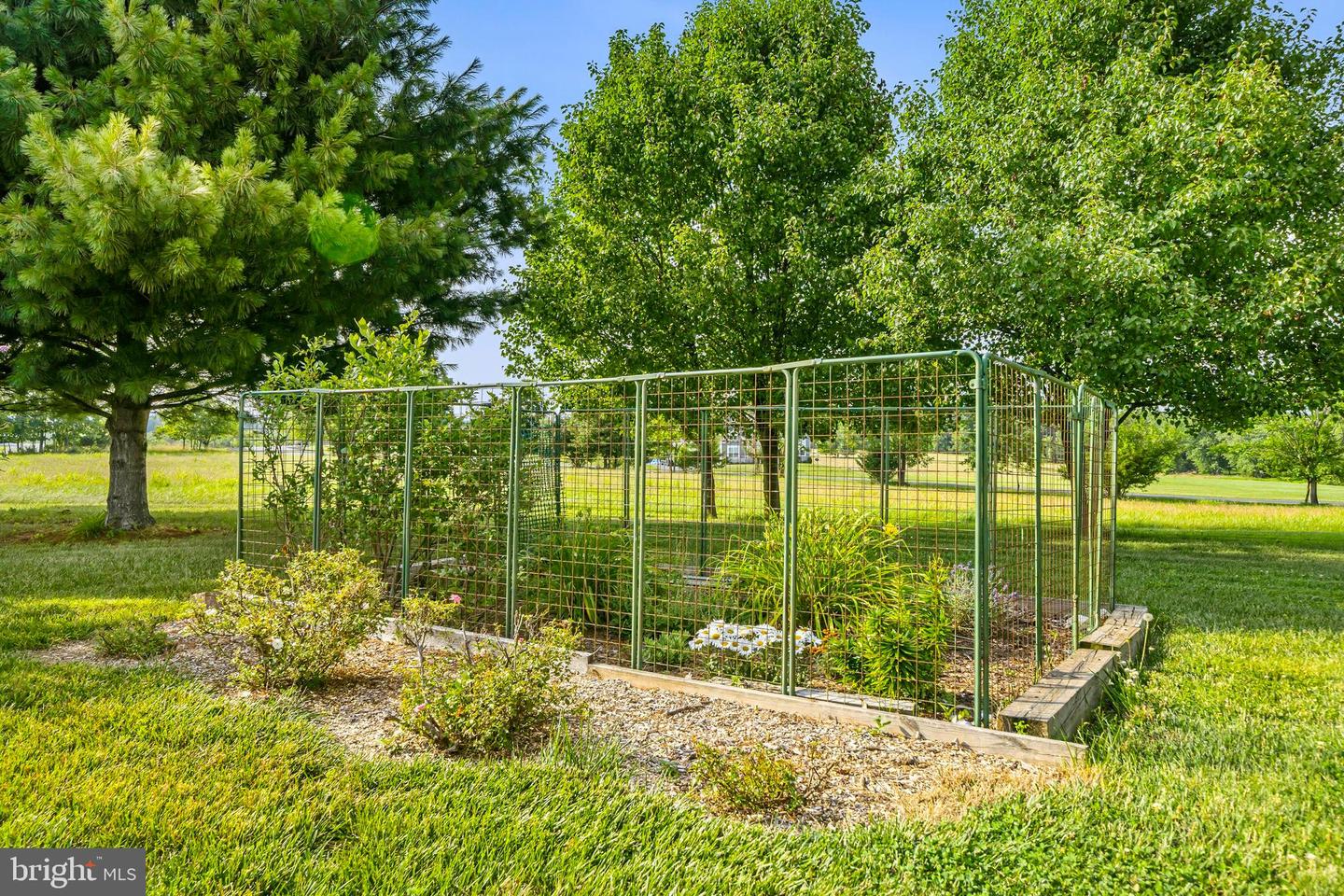 12025 Lindsey Corner Ln Property Photo 61