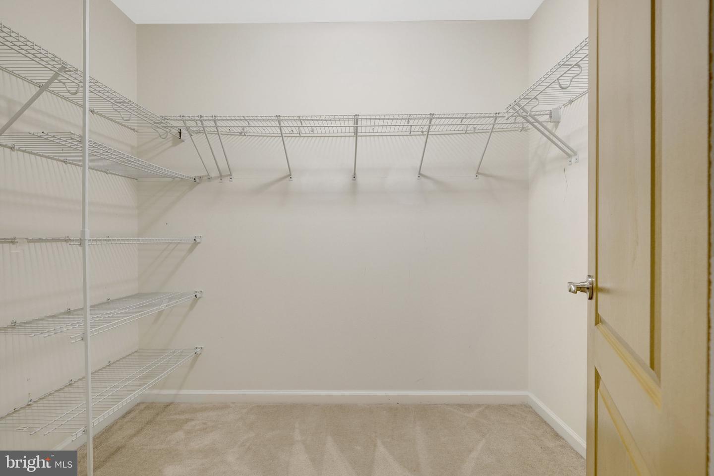 21236 Lady Fern Pl Property Photo 55