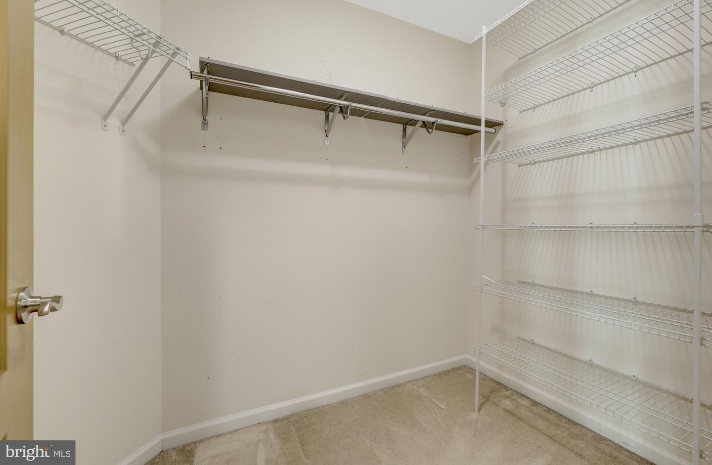 21236 Lady Fern Pl Property Photo 56