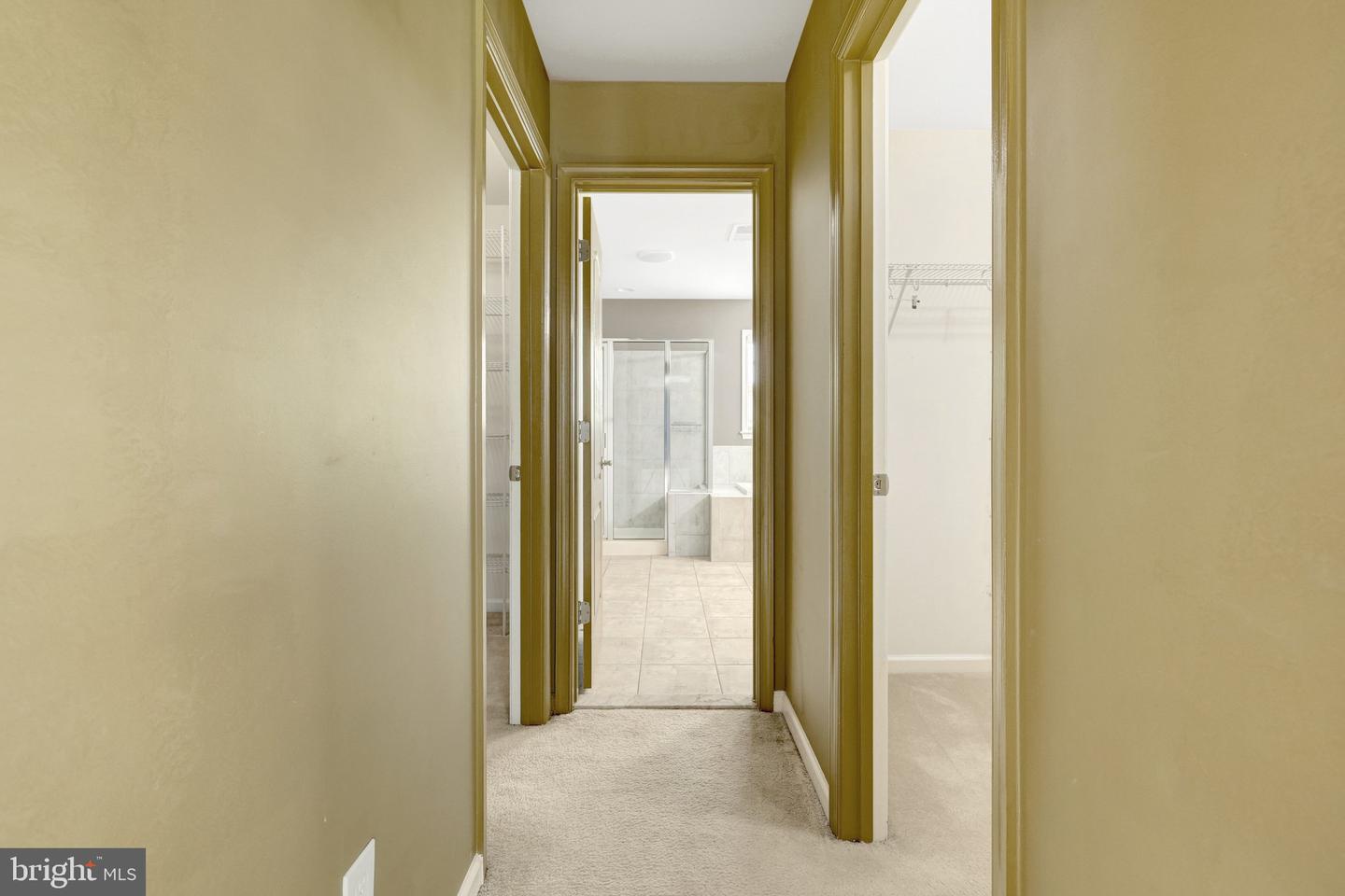 21236 Lady Fern Pl Property Photo 57