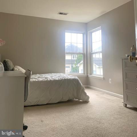 14 Potterfield Dr Property Photo 19