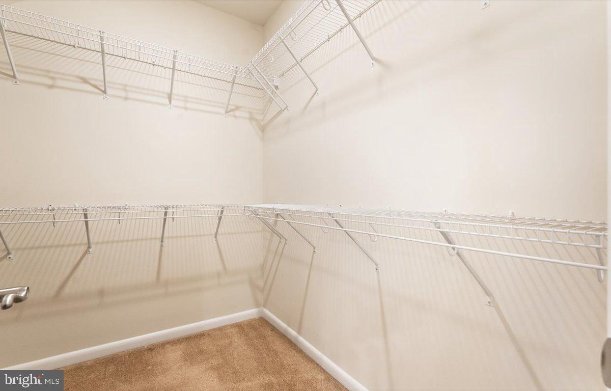 20532 Milbridge Ter Property Photo 24