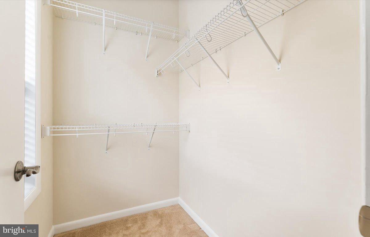 20532 Milbridge Ter Property Photo 25