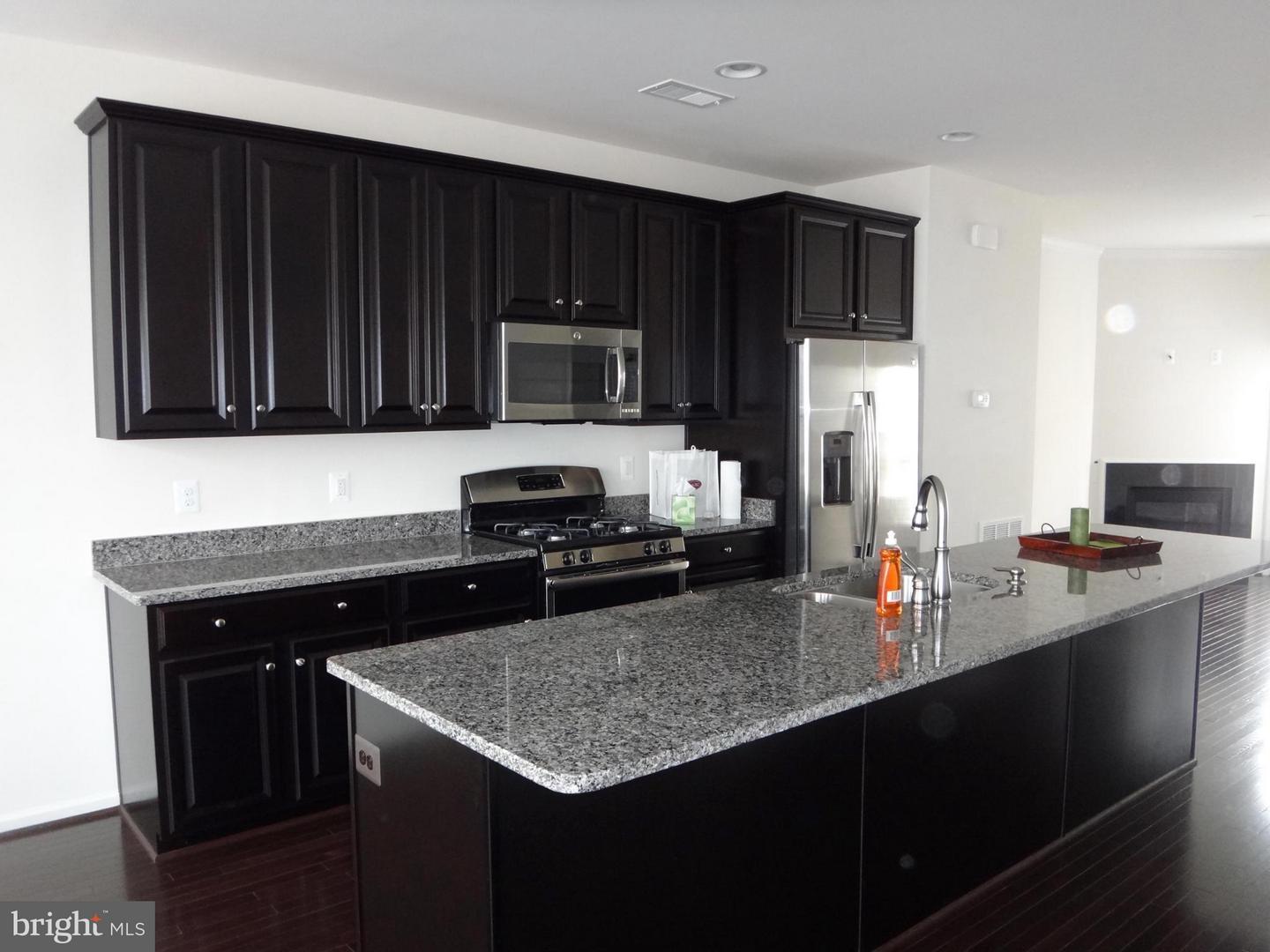 43297 Novi Ter Property Photo 6