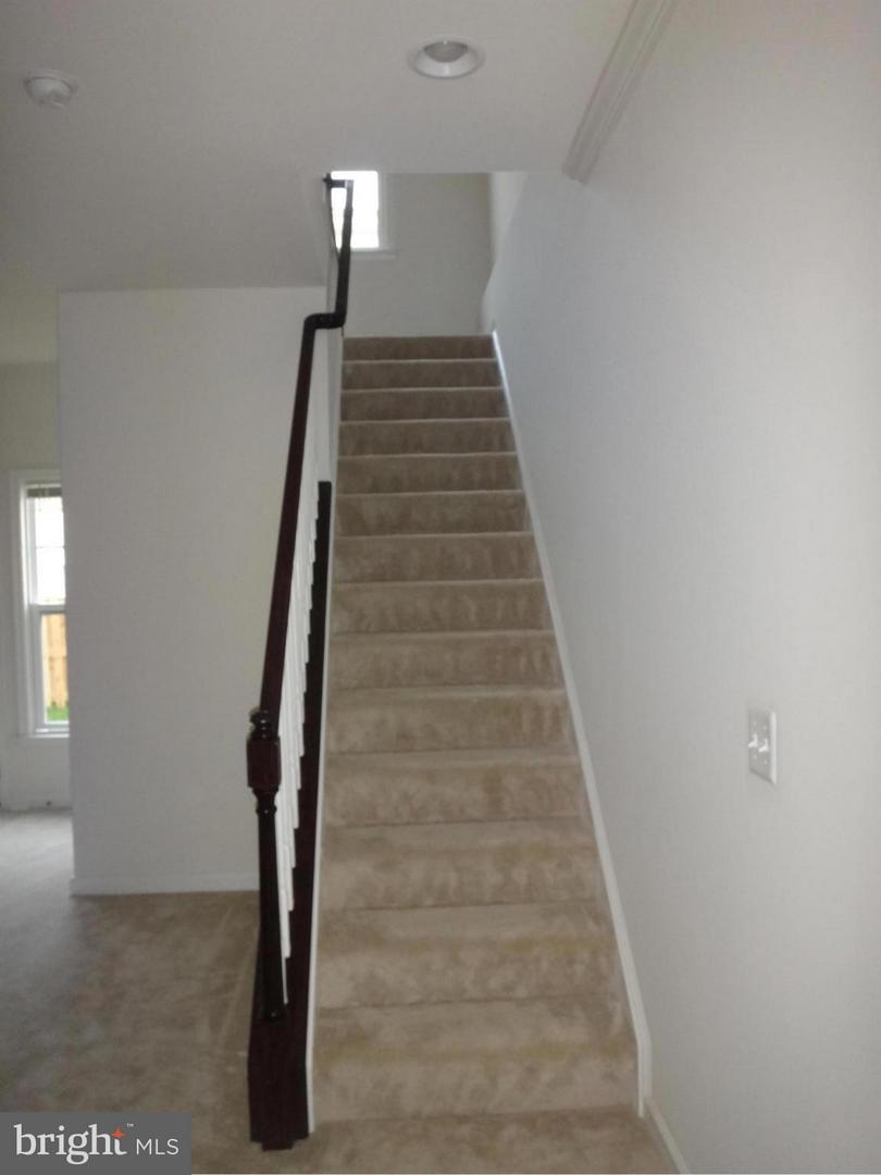 43297 Novi Ter Property Photo 9