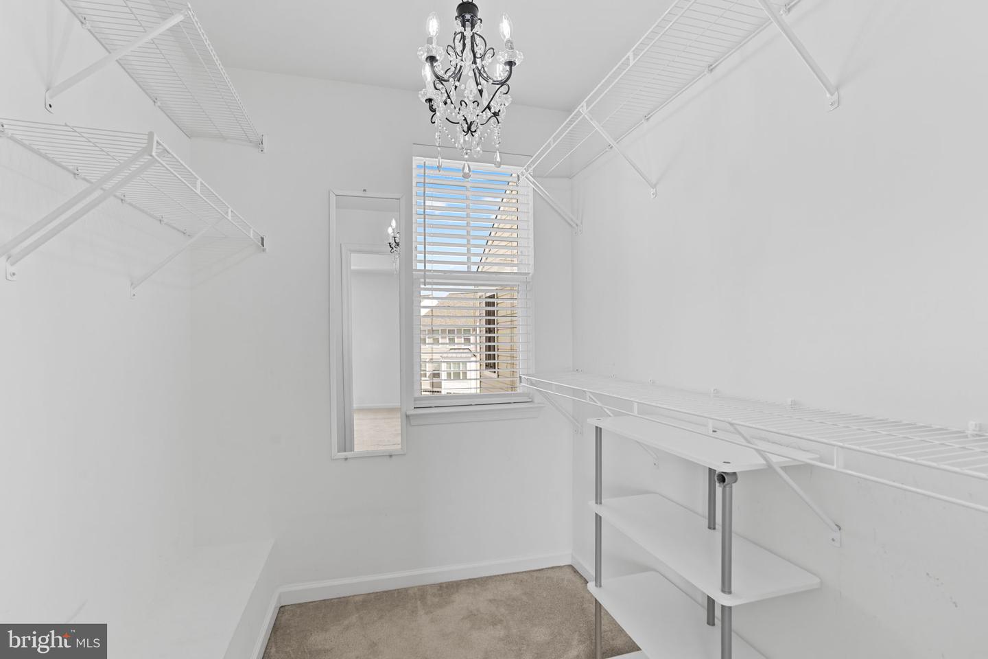 42243 Canary Grass Sq Property Photo 28