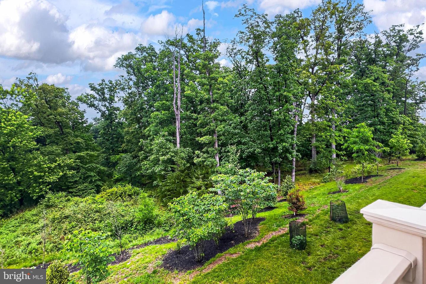 1700 Mocking Jay Ter Ne Property Photo 23