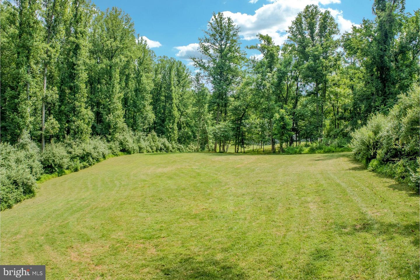 19016 Bridle Branch Ln Property Photo 101