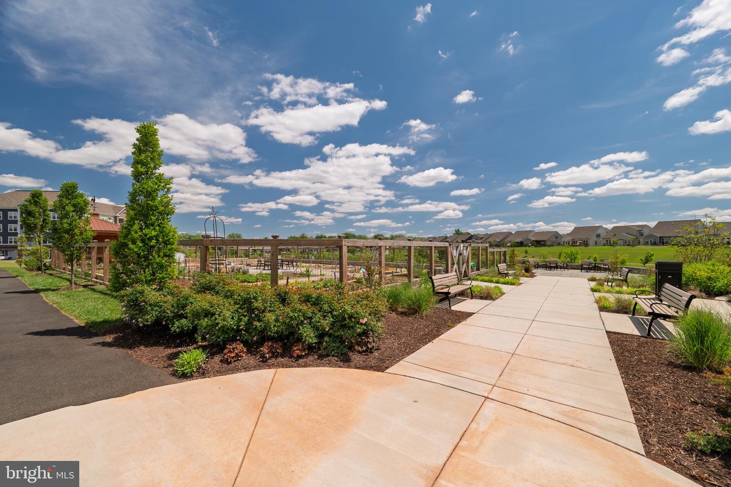 21630 Hawksbill High Cir #204 Property Photo 37