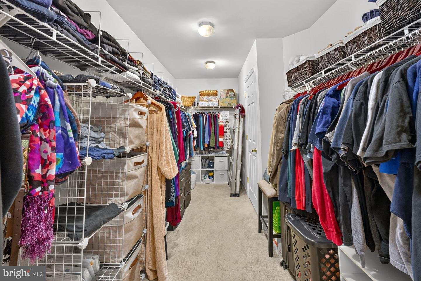 11636 Scott Morgan Ln Property Photo 35