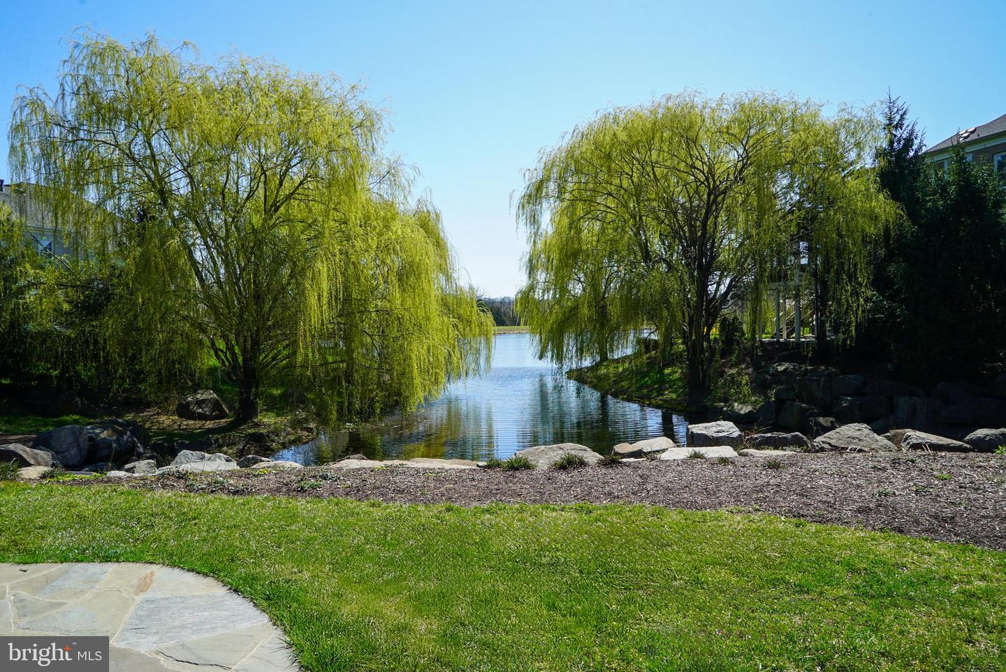 42198 Shining Star Sq #homesite 4534 Property Photo 54