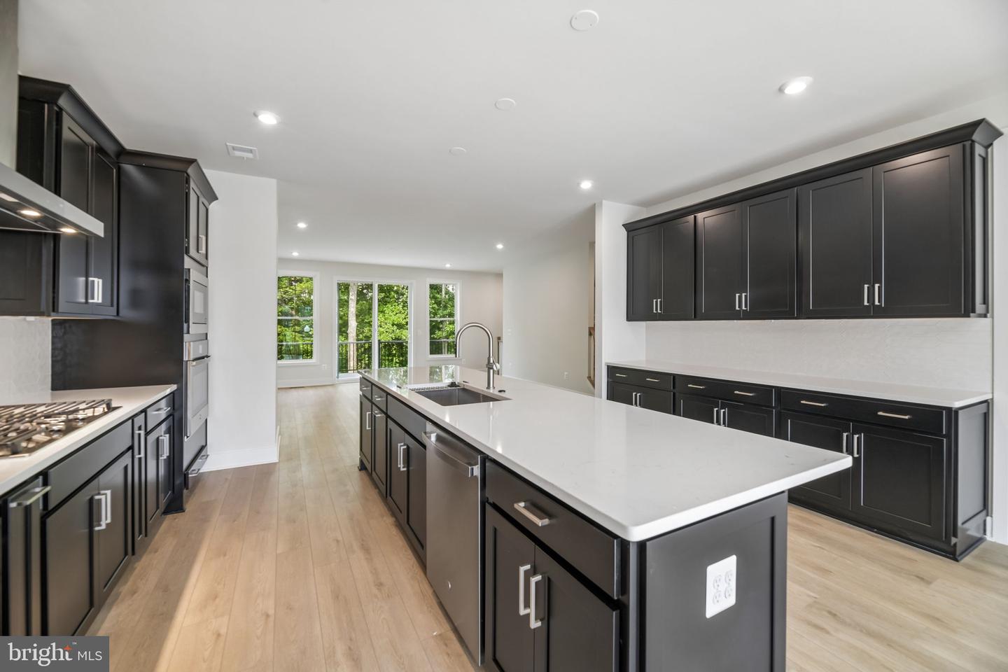 42223 Picasso Sq #homesite 4332 Property Photo 3