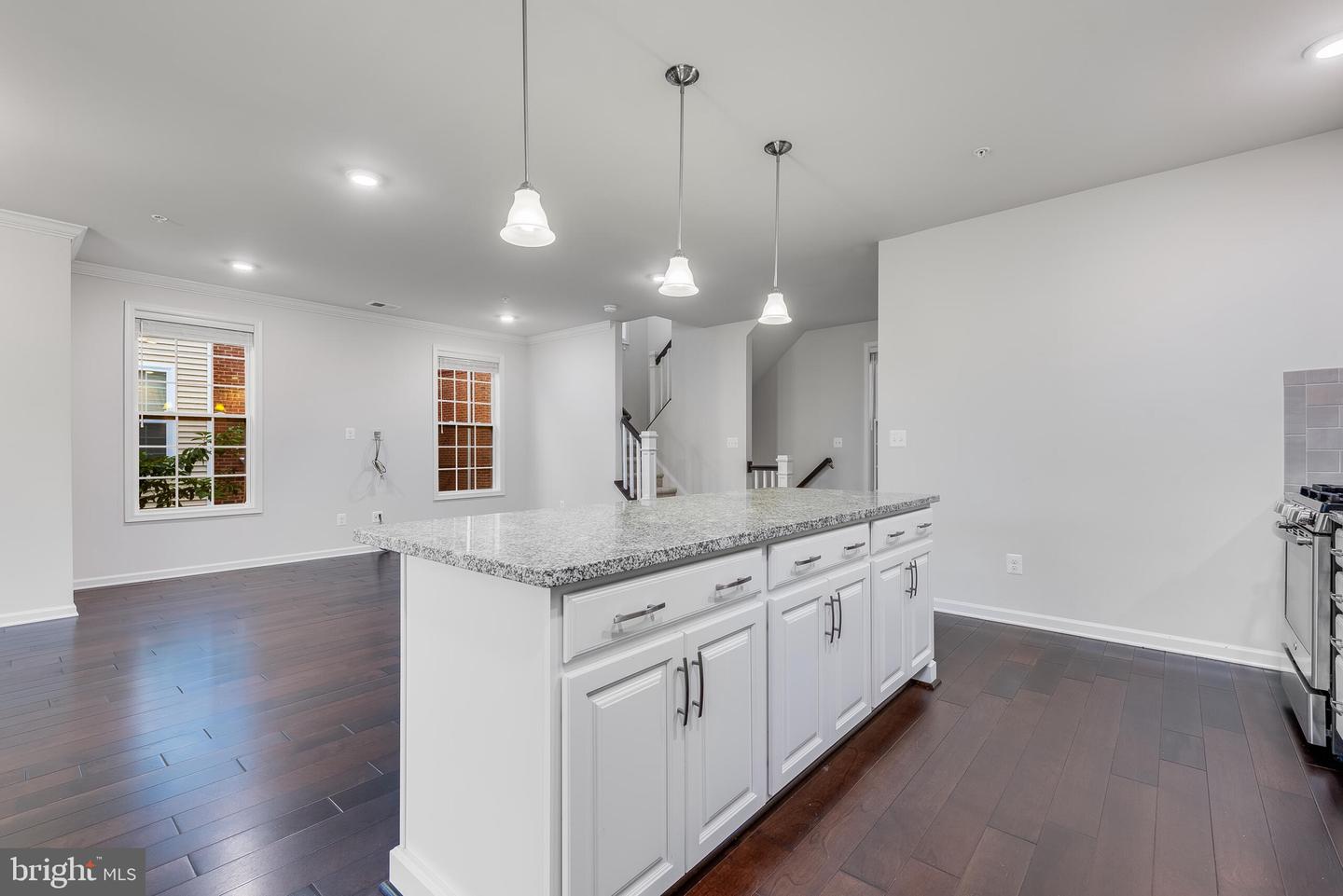 23290 Milltown Knoll Sq #118 Property Photo 12