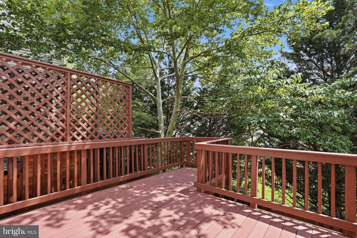 43451 Laidlow St Property Photo 34