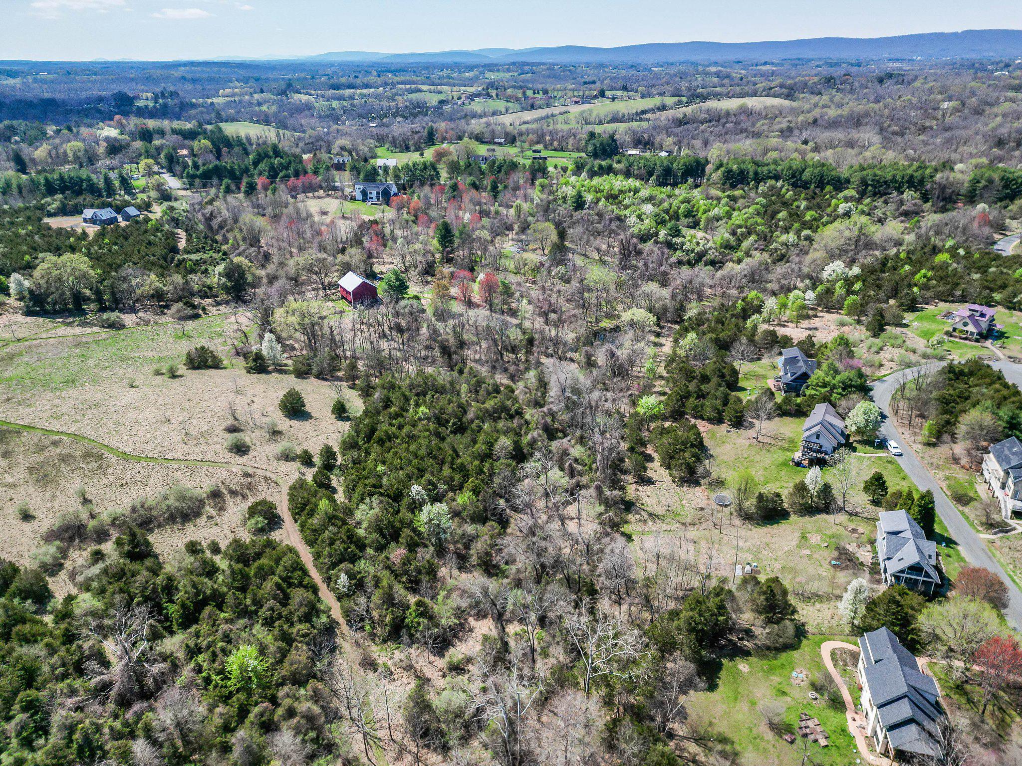 40992 Redwing Song Ln Property Photo 1