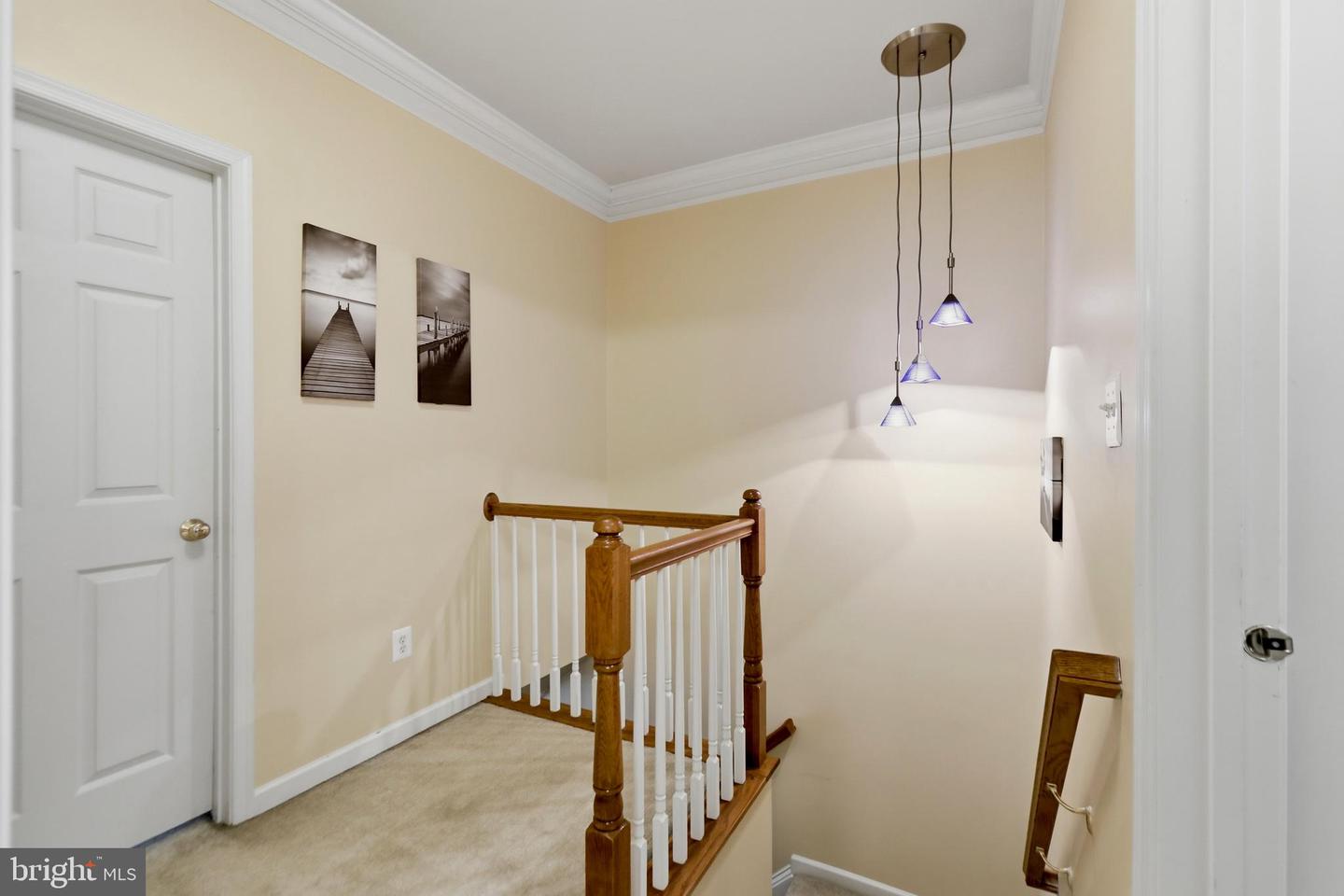 20441 Scioto Ter Property Photo 11