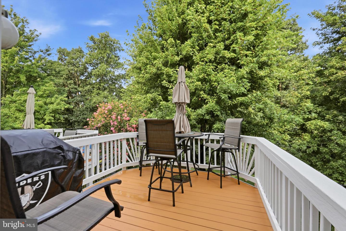 20441 Scioto Ter Property Photo 24