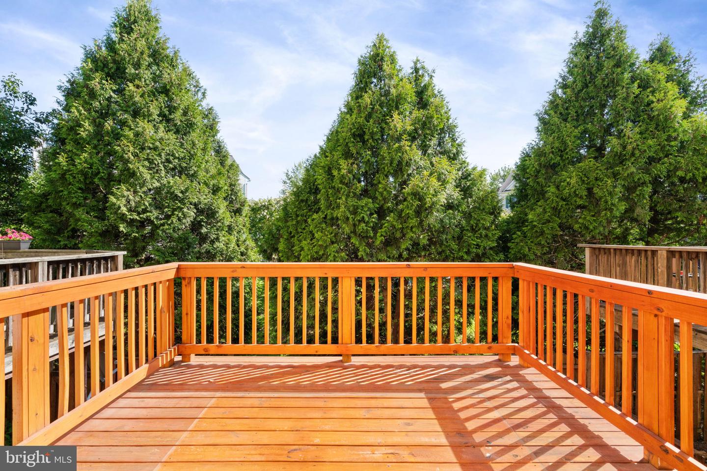 45477 Baggett Ter Property Photo 35