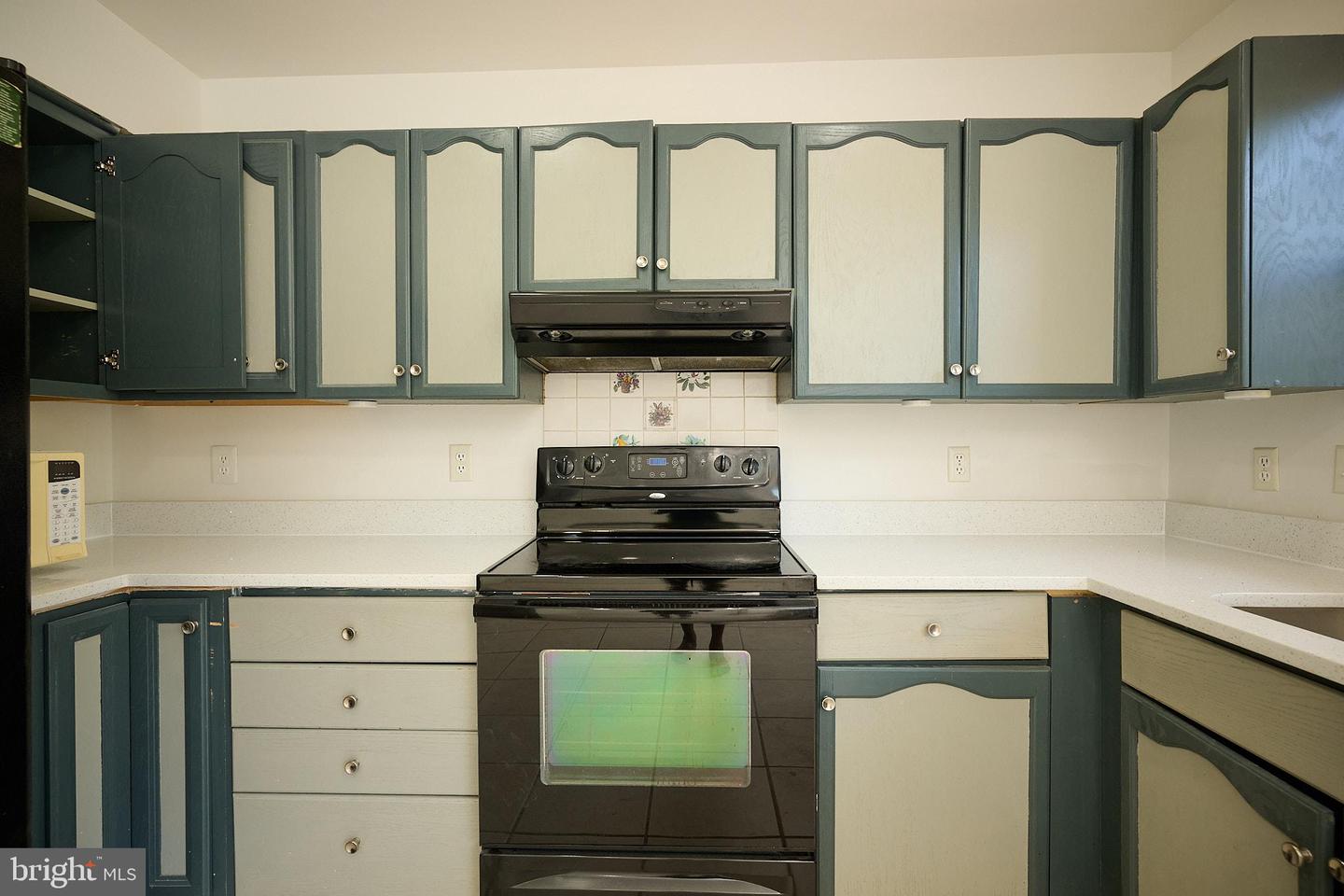46760 Hobblebush Ter Property Photo 8