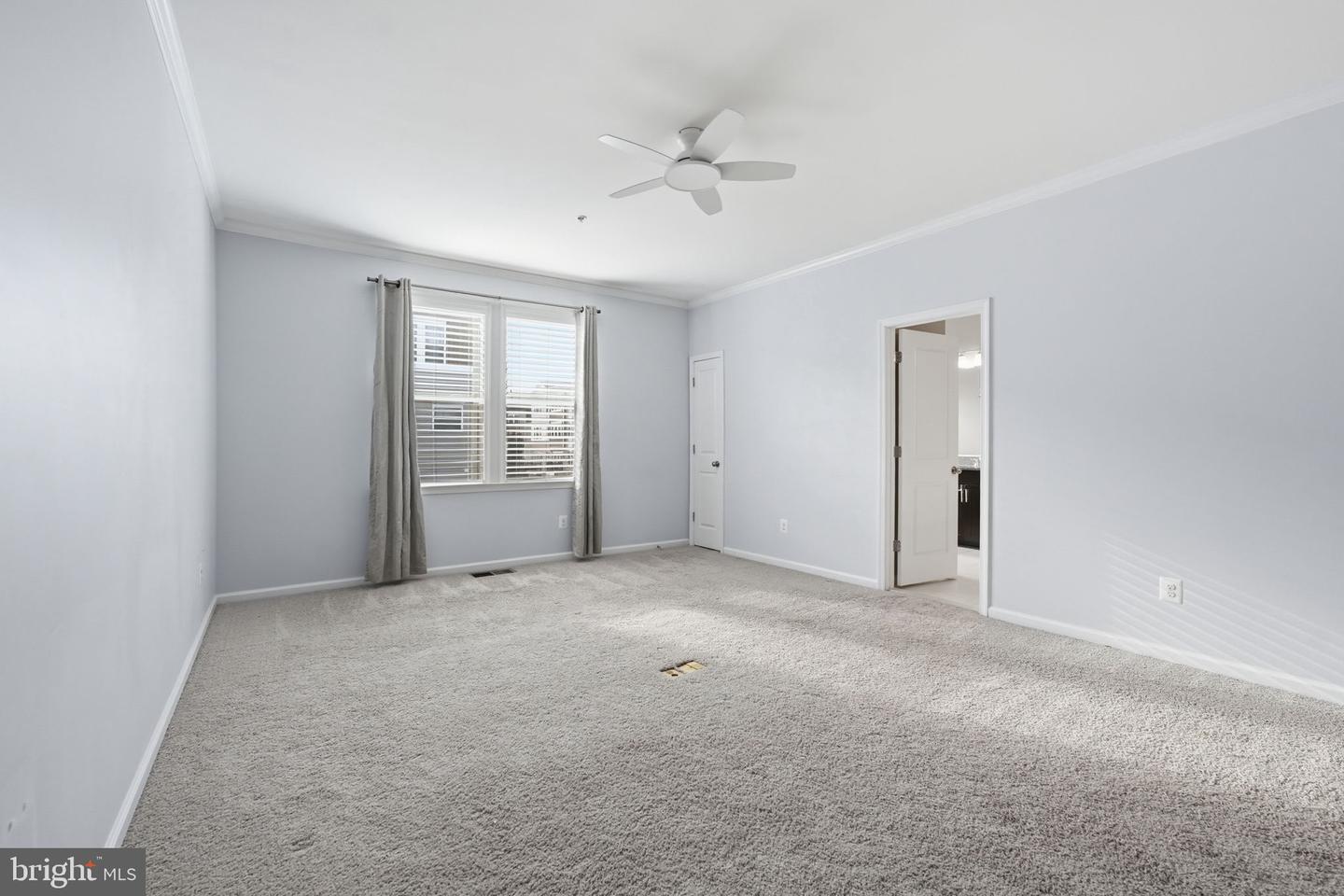 24537 Glenville Grove Ter Property Photo 28