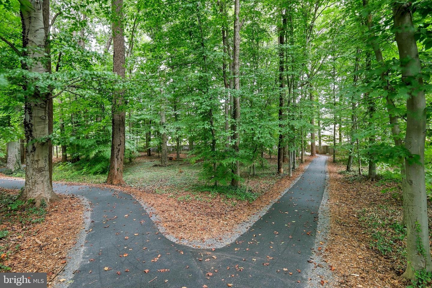 316 Sugarland Run Dr Property Photo 8