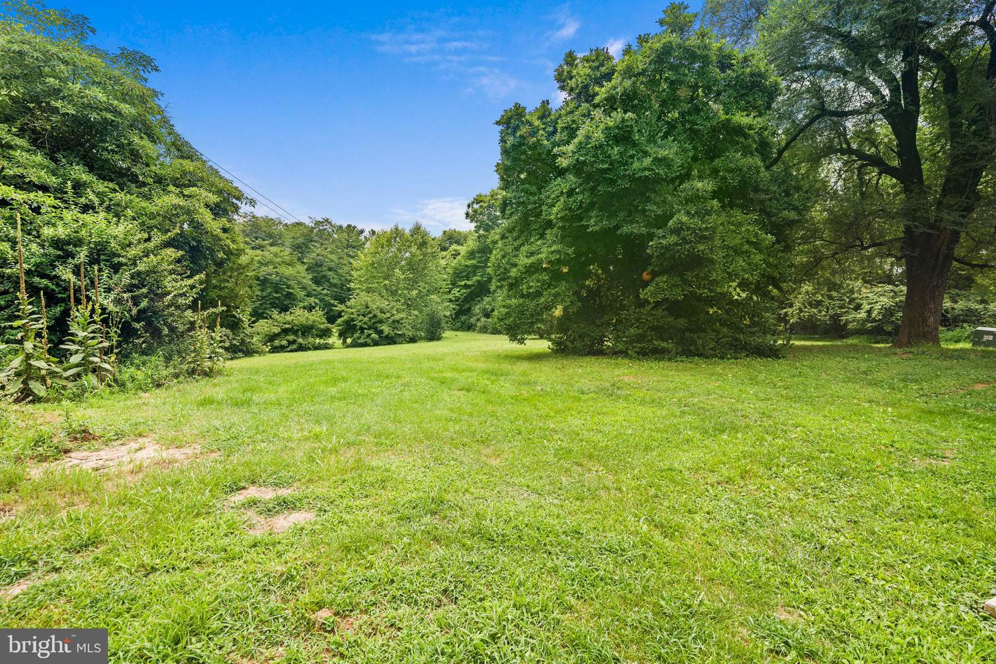 39030 Mount Gilead Rd Property Photo 49